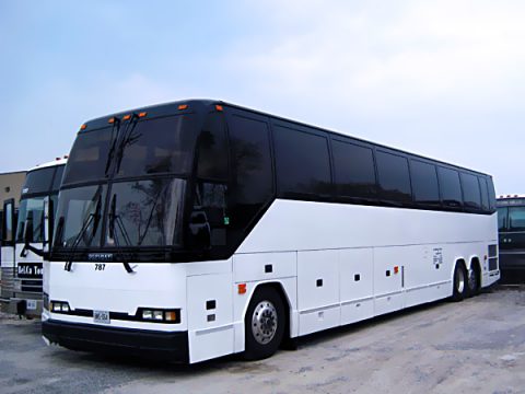Party bus for 60
